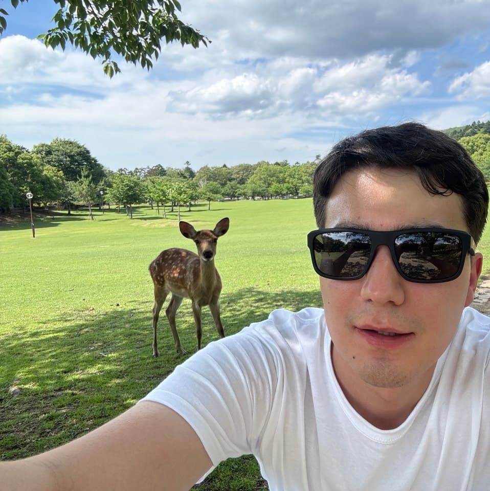 Deer